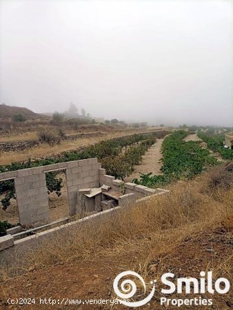 Finca en venta en Granadilla de Abona (Tenerife)