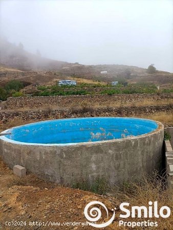 Finca en venta en Granadilla de Abona (Tenerife)