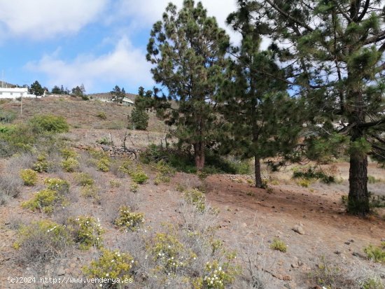 Finca en venta en Adeje (Tenerife)