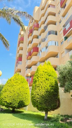 Apartamento en venta en La Manga del Mar Menor (Murcia)