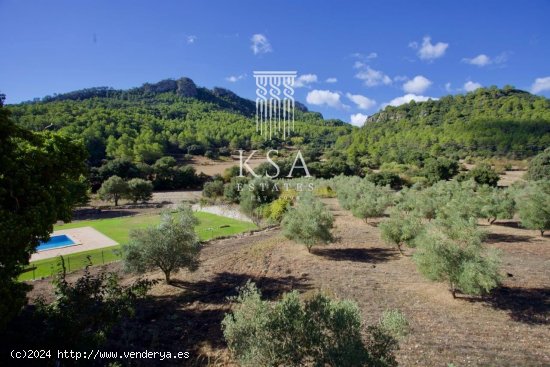 Finca en venta en Bunyola (Baleares)