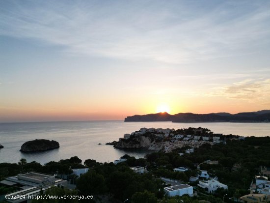 Solar en venta en Calvià (Baleares)