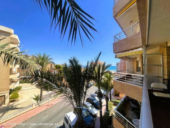 Apartamento en venta en Guardamar del Segura (Alicante)