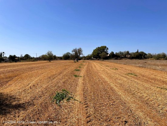 Solar en venta en Campos (Baleares)