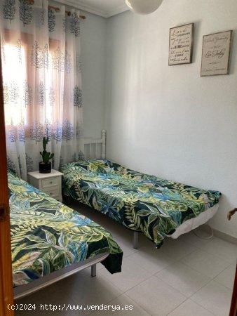 Bungalow en alquiler en Guardamar del Segura (Alicante)