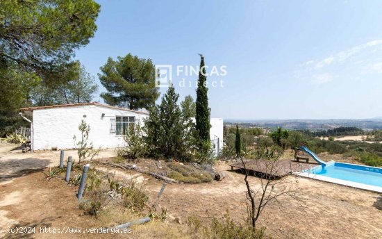  Finca en venta en Flix (Tarragona) 