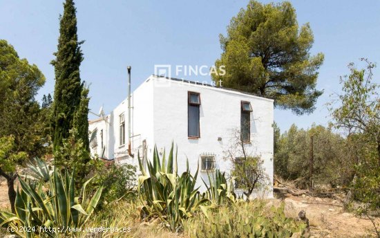 Finca en venta en Flix (Tarragona)