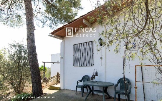 Finca en venta en Flix (Tarragona)