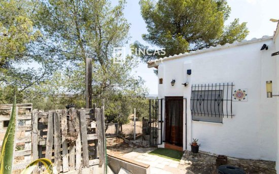 Finca en venta en Flix (Tarragona)