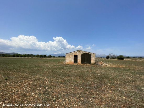 Solar en venta en Llubí (Baleares)