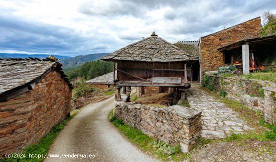 Casa en venta en Ibias (Asturias)