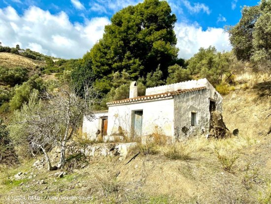  Finca en venta en Frigiliana (Málaga) 