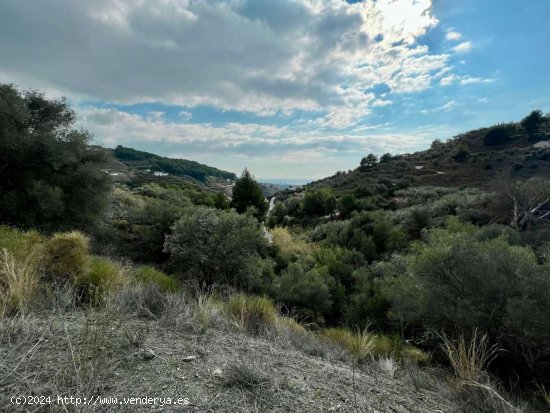 Finca en venta en Frigiliana (Málaga)