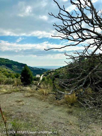 Finca en venta en Frigiliana (Málaga)