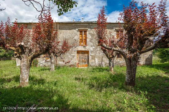 Finca en venta en Castro de Rei (Lugo)