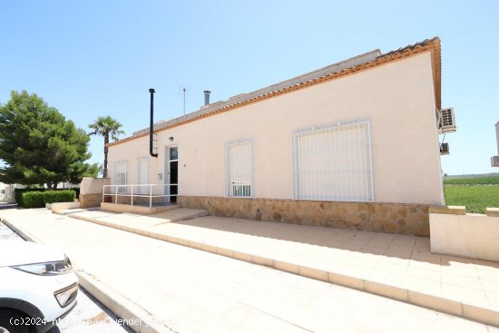 Edificio en venta en San Miguel de Salinas (Alicante)