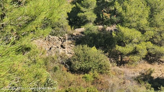 Solar en venta en Tivissa (Tarragona)