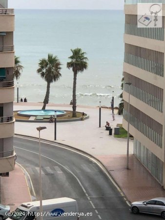 Apartamento en venta en Torrevieja (Alicante)