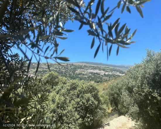 Casa en venta en Cádiar (Granada)