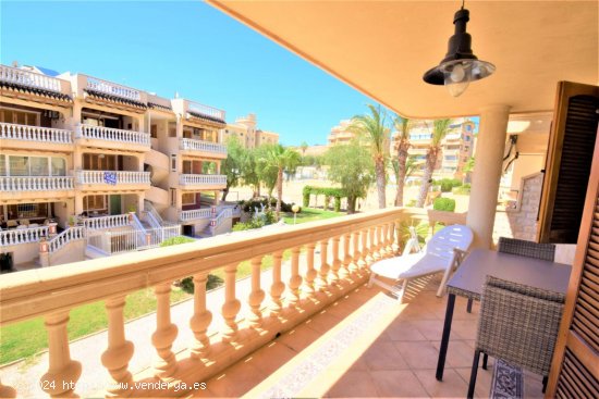 Apartamento en alquiler en Guardamar del Segura (Alicante)