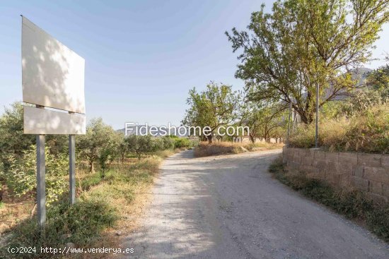  Solar en venta en Nigüelas (Granada) 