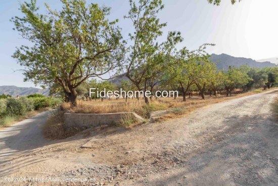 Solar en venta en Nigüelas (Granada)