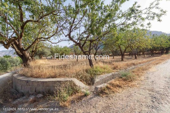 Solar en venta en Nigüelas (Granada)