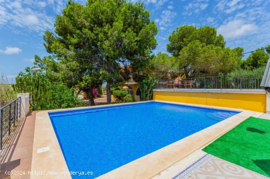 Finca en venta en Los Montesinos (Alicante)