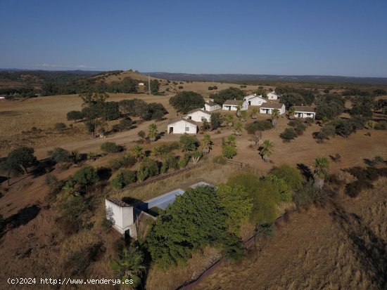 Finca en venta en Calañas (Huelva)