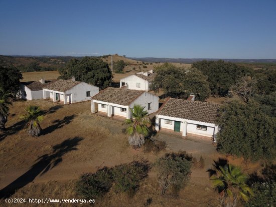 Finca en venta en Calañas (Huelva)