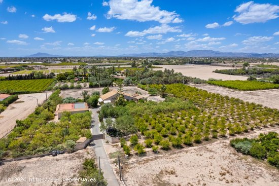 Finca en venta en Elche (Alicante)