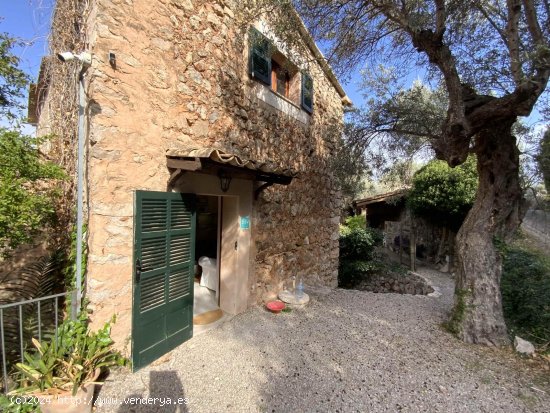  Finca en venta en Sóller (Baleares) 