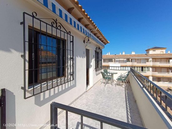 Apartamento en venta en Torrevieja (Alicante)