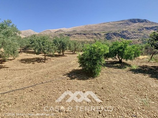 Finca en venta en Periana (Málaga)