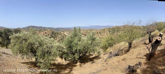 Finca en venta en Sedella (Málaga)