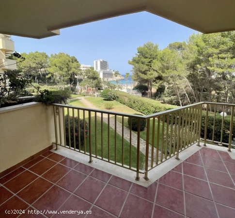  Apartamento en alquiler en Calvià (Baleares) 