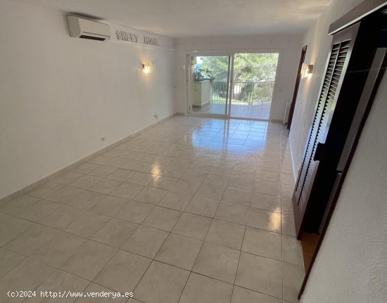 Apartamento en alquiler en Calvià (Baleares)