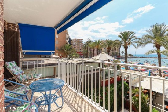  Piso en venta en Torrevieja (Alicante) 