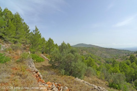 Parcela en venta en Jalón (Alicante)