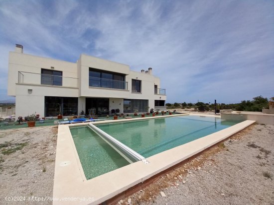  Villa en venta en Elche (Alicante) 