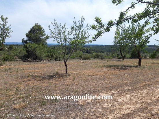 Finca en venta en Calaceite (Teruel)