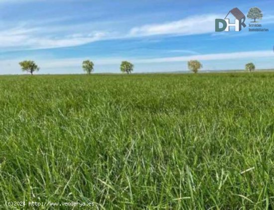 Solar en venta en Palencia (Palencia)