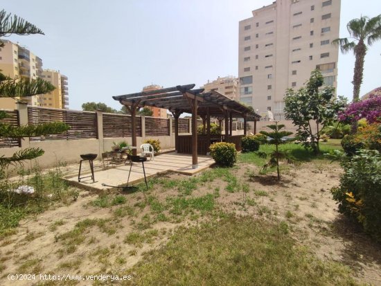 Piso en venta en Guardamar del Segura (Alicante)