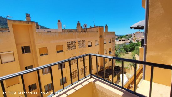  Apartamento en alquiler en Andratx (Baleares) 