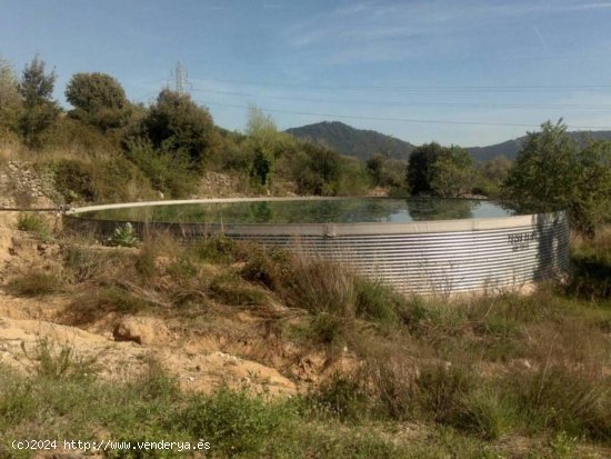 Finca en venta en Vilaplana (Tarragona)