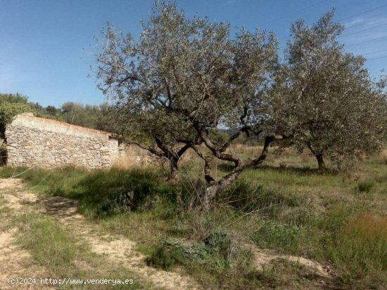 Finca en venta en Vilaplana (Tarragona)