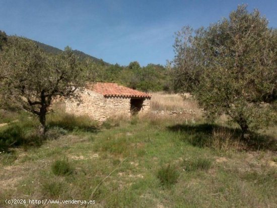 Finca en venta en Vilaplana (Tarragona)