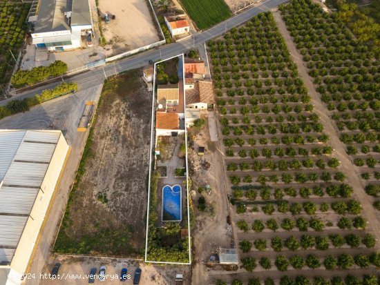 Finca en venta en Orihuela (Alicante)