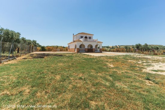  Chalet en venta en Niebla (Huelva) 