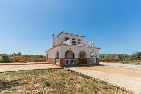 Chalet en venta en Niebla (Huelva)